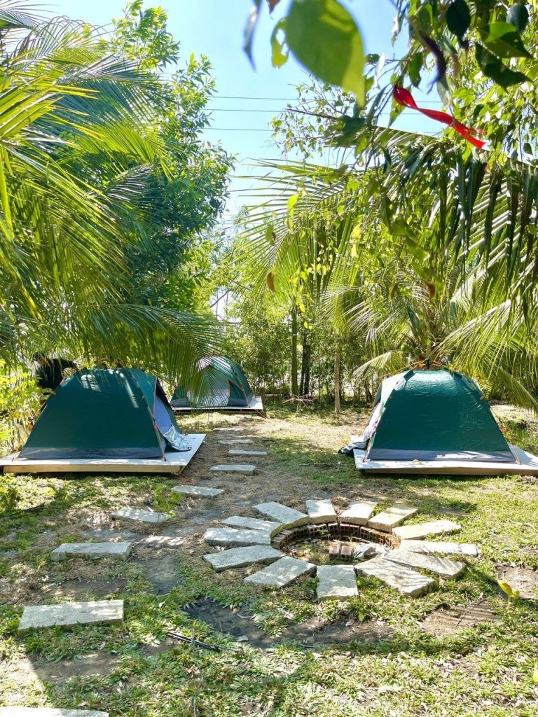 thiên nhiên tại Cà Mau Eco