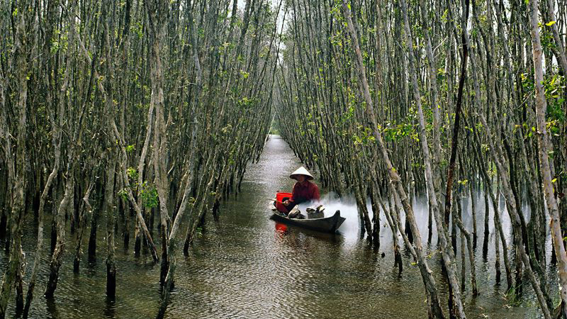 Nét Đẹp Hoàng Sơ
